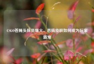 CSGO苍蝇头探员爆火，恶搞皮肤如何成为玩家新宠