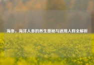 海参，海洋人参的养生奥秘与适用人群全解析