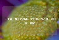 「王者栄耀」の日本語での言い方と用語の日中対照解説
