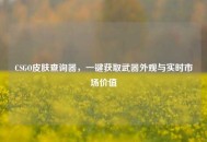 CSGO皮肤查询器，一键获取武器外观与实时市场价值