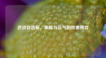 逆战自选箱，策略与运气的双重博弈