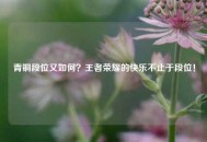 青铜段位又如何？王者荣耀的快乐不止于段位！