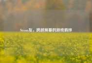 Steam友，跨越屏幕的游戏羁绊