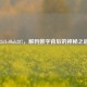 32d1cf0ab287，解码数字背后的神秘之谜