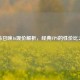 使命召唤16现价解析，经典FPS的性价比之选