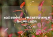 王者荣耀贵1到贵10，小氪金玩家的游戏体验与贵10传承的社交密码