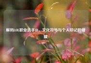 解码LOL职业选手ID，文化符号与个人印记的碰撞