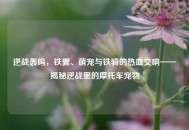 逆战轰鸣，铁翼、萌宠与铁骑的热血交响——揭秘逆战里的摩托车宠物