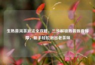 生熟普洱茶泡法全攻略，三步解锁熟普陈香醇厚，新手轻松泡出老茶味