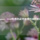 Shroud，CSGO传奇的战术智慧与深远影响