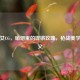 逆战女CG，硝烟里的铿锵玫瑰，枪战美学新定义