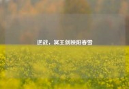 逆战，冥王剑映阳春雪