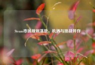 Steam市场规则落地，机遇与挑战并存