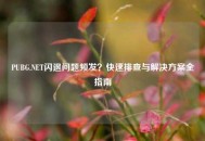 PUBG.NET闪退问题频发？快速排查与解决方案全指南