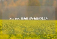 CS:GO 2020,经典延续与电竞辉煌之年 CS:GO 2020,经典延续与电竞辉煌之年