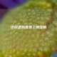 逆战道具携带上限详解