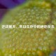 逆战屠夫，末日生存中的绝地反击