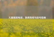 儿童医院     ，急救热线与挂号指南