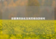田基黄的别名及其药用功效研究