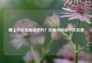 晚上不吃饭能减肥吗？效果与风险一文说清