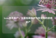 Steam优先账户，全面指南保护与优化你的游戏资产