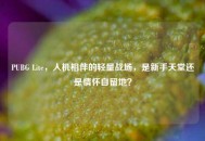 PUBG Lite，人机相伴的轻量战场，是新手天堂还是情怀自留地？