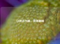 以峡谷为疆，我即巅峰