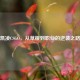 凯凌CSGO，从草根到职业的逆袭之路