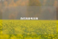 伪代码参考示例