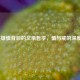 LOL英雄慎背后的父亲哲学，慎与戒的深度解析