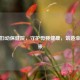 合肥妇幼保健院，守护母婴健康，筑造幸福未来
