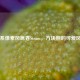 萌系像素风席卷Steam，方块熊的可爱风暴