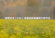 绝地求生（PUBG）快速返回桌面的几种     