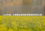 CSGO小葱，从草根玩家到职业赛场的逆袭之路