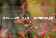 逆战Phoenix战队，浴火涅槃，枪战赛场续写传奇
