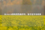 从CSGO ID到电竞热血符号，茄子名字全收录