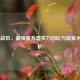 COD16战区，最强服务器实力对比与玩家水平分析