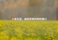人体五官，感知世界的奇妙窗口