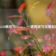 CS:GO商店与Steam，一键购买与交易指南