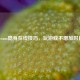 Steam隐身在线技巧，玩游戏不增加时长