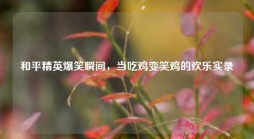 和平精英爆笑瞬间，当吃鸡变笑鸡的欢乐实录