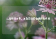 从青铜到王者，王者荣耀英雄进阶全攻略
