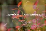 三国杀鏖战吕布，一骑当千的巅峰对决