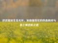 逆战猎场生命光环，加血圈背后的热血羁绊与血上限进阶之道