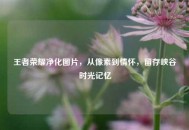 王者荣耀净化图片，从像素到情怀，留存峡谷时光记忆