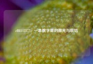 cf88112377，一串数字里的微光与联结