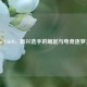 Salopo CSGO,新兴选手的崛起与电竞逐梦之路
