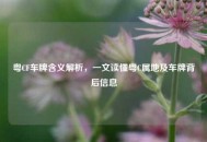粤CF车牌含义解析，一文读懂粤C属地及车牌背后信息