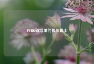 PUBG硝烟里的孤胆锐士