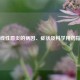 光线性唇炎的病因、症状及科学用药指南